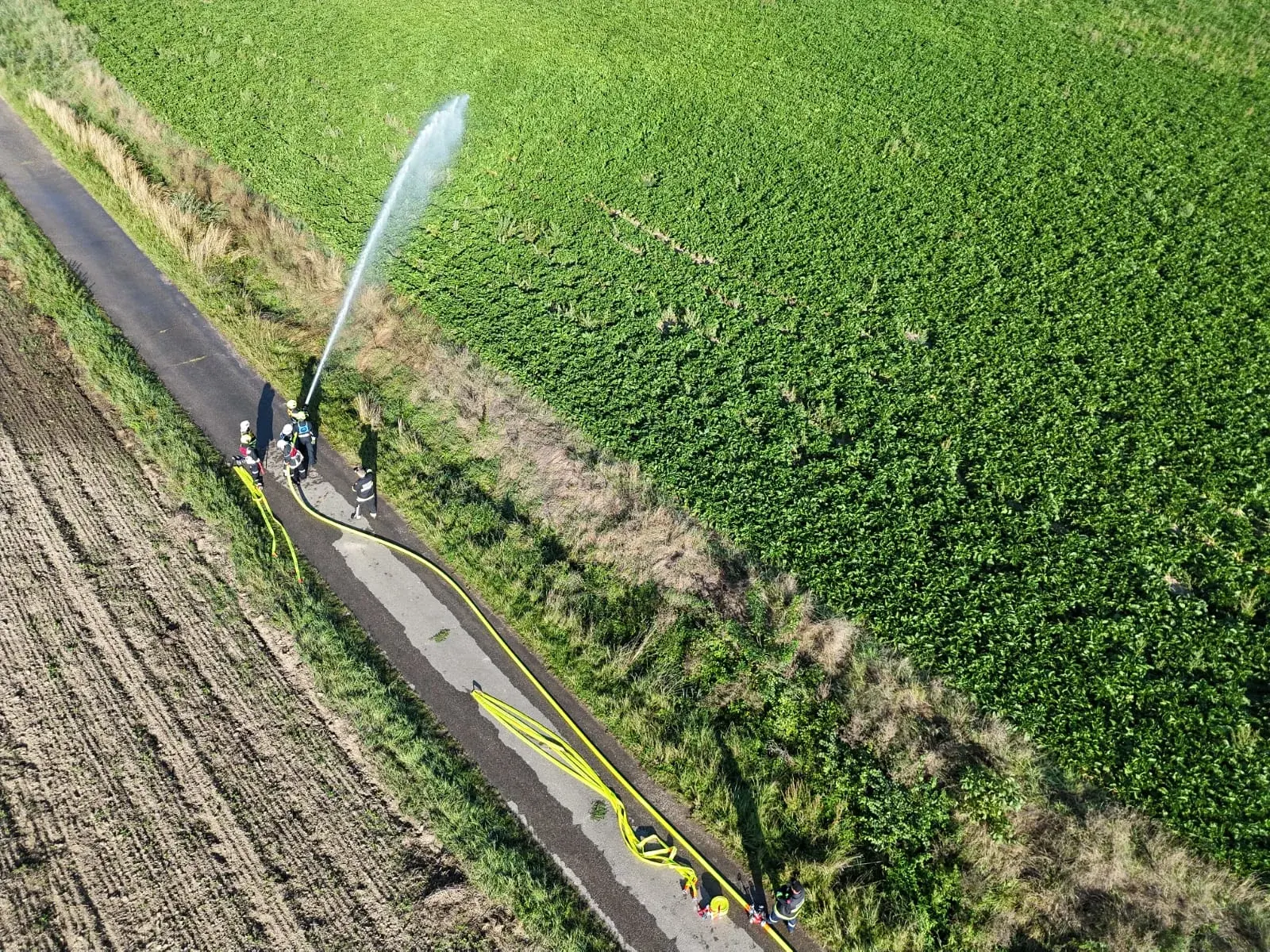 Foto der Freiwilligen Feuerwehr Großmugl