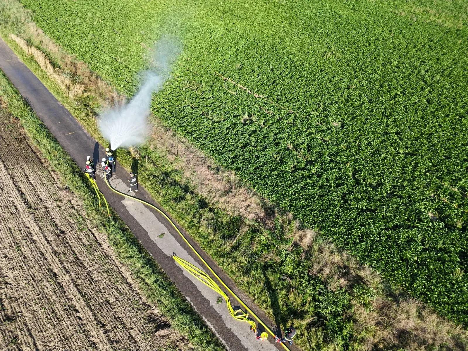 Foto der Freiwilligen Feuerwehr Großmugl