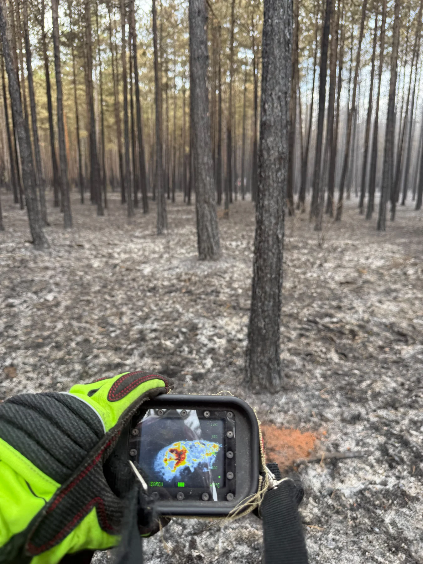 Foto der Freiwilligen Feuerwehr Großmugl