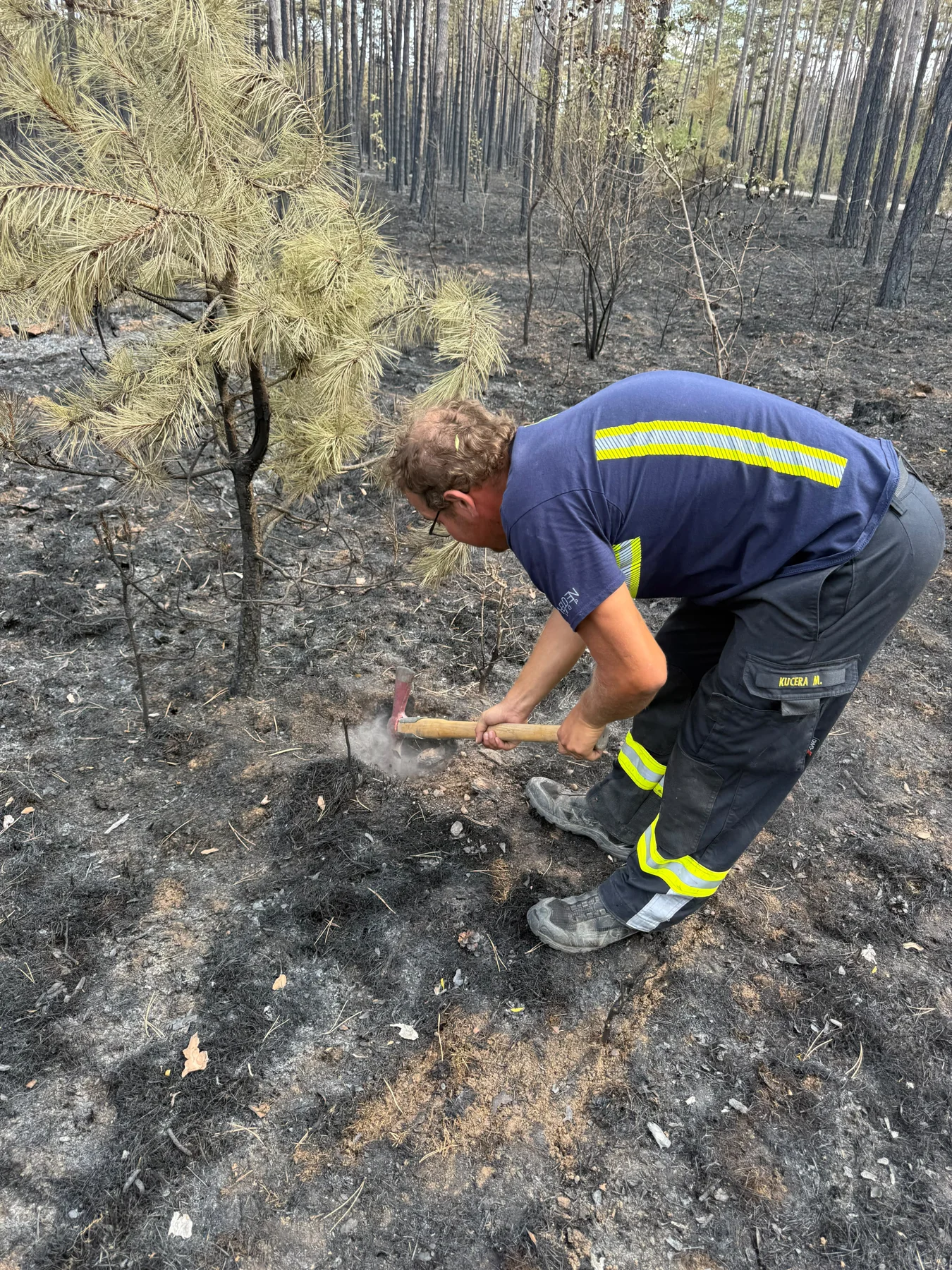 Foto der Freiwilligen Feuerwehr Großmugl