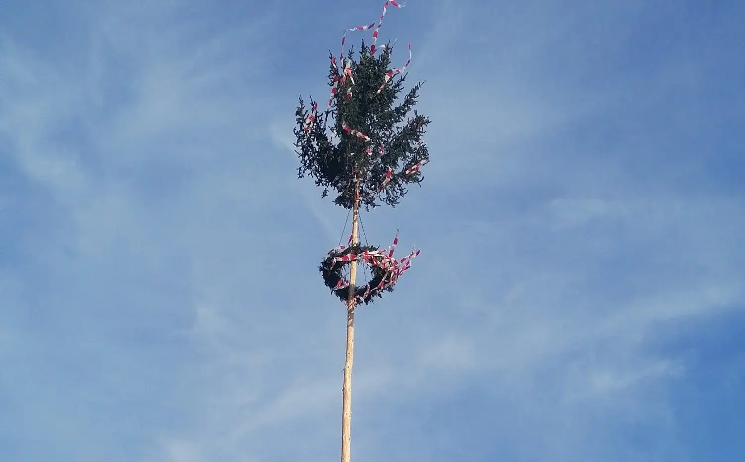 Maibaum 2021