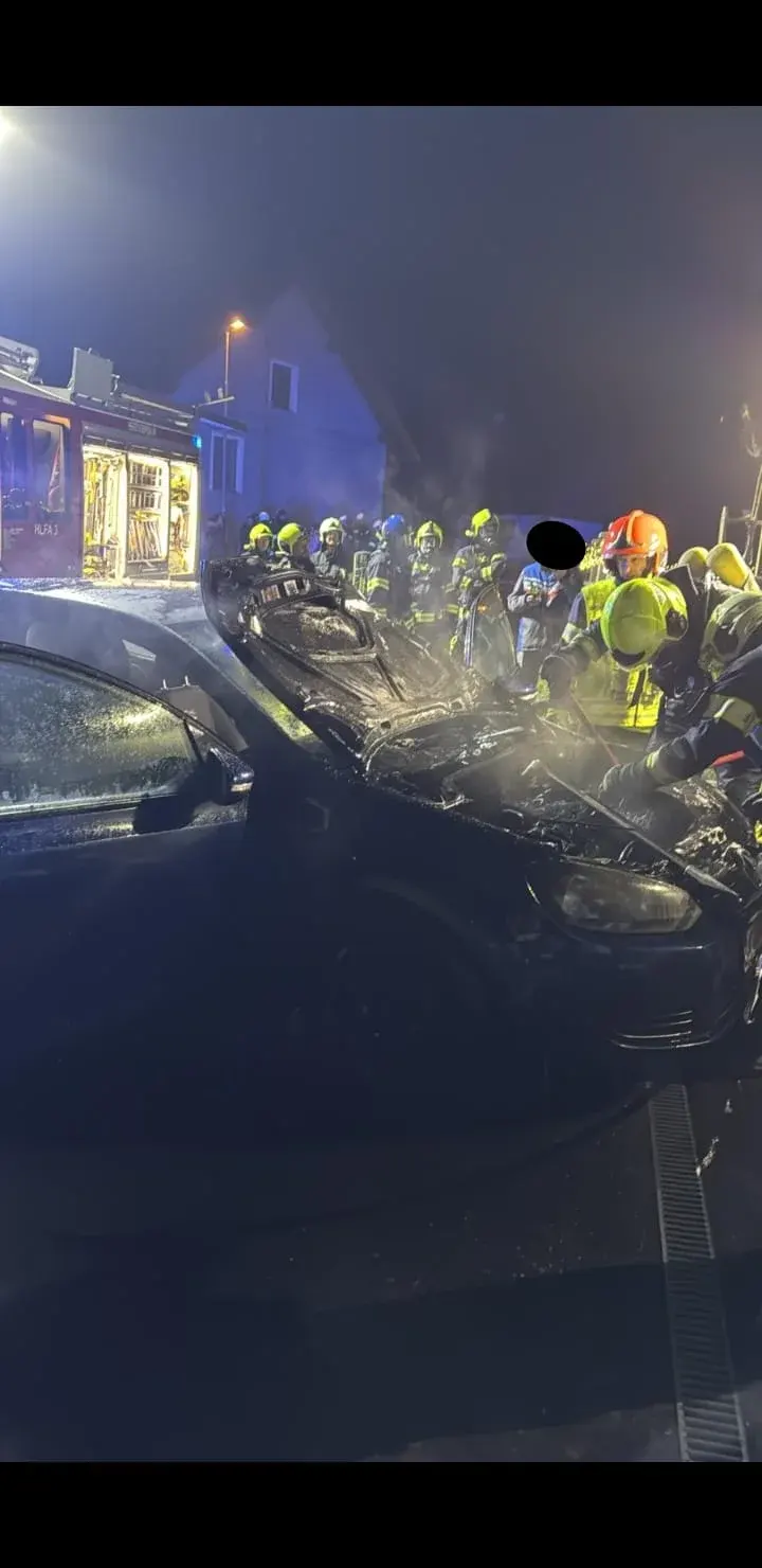 PKW-Brand in Herzogbirbaum