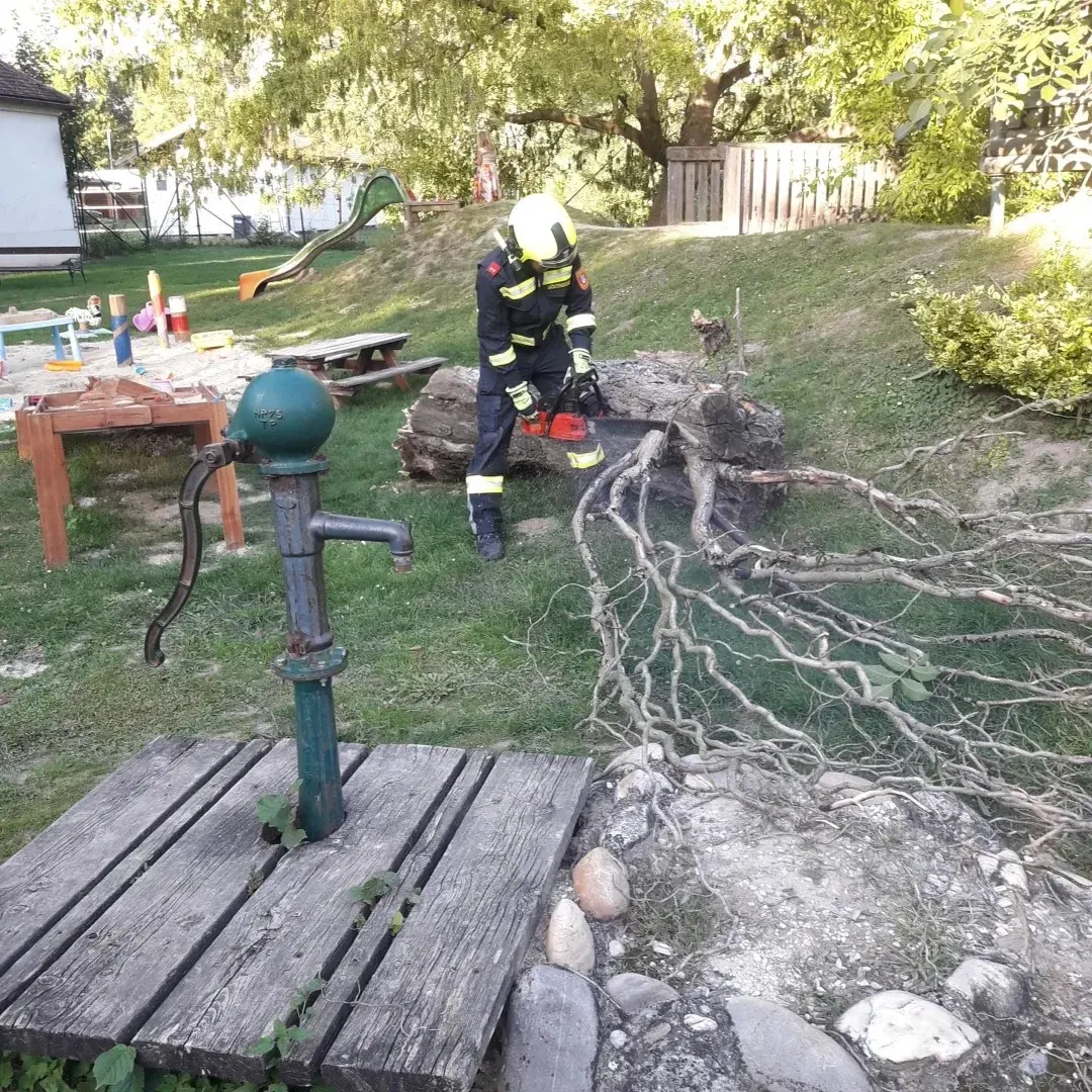 Baum drohte am Kinderspielplatz umzustürzen