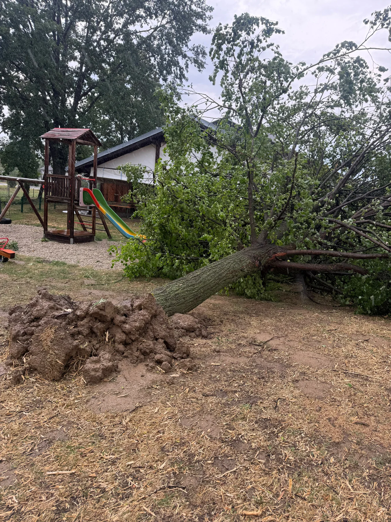 Schweres Unwetter in Steinabrunn